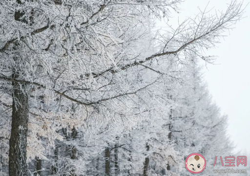 入冬了朋友圈心情說說2019 入冬一句話感言句子 入冬了朋友圈心情說說2019 入冬一句話感言句子