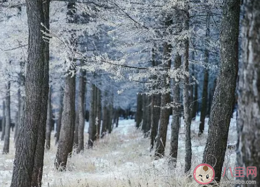 入冬了朋友圈心情說說2019 入冬一句話感言句子 入冬了朋友圈心情說說2019 入冬一句話感言句子