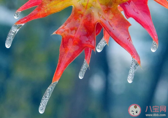 立冬快樂唯美說說2019 立冬經典祝福語問候大全