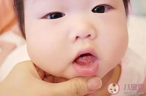 立冬節(jié)氣給寶寶吃什么好 立冬給寶寶進(jìn)步的方法有哪些 立冬節(jié)氣給寶寶吃什么好 立冬給寶寶進(jìn)步的方法有哪些