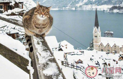 國(guó)內(nèi)適合冬天去旅行的城市 2019國(guó)內(nèi)冬天旅游去哪好 國(guó)內(nèi)適合冬天去旅行的城市 2019國(guó)內(nèi)冬天旅游去哪好