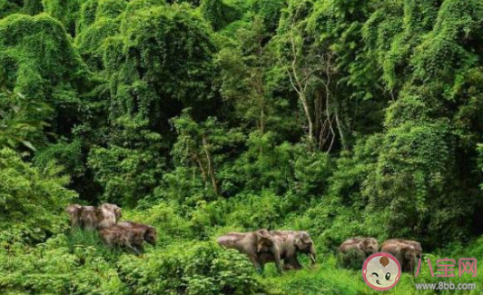 國(guó)內(nèi)適合冬天去旅行的城市 2019國(guó)內(nèi)冬天旅游去哪好 國(guó)內(nèi)適合冬天去旅行的城市 2019國(guó)內(nèi)冬天旅游去哪好