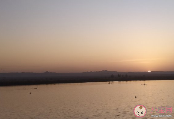 出太陽了適合發(fā)朋友圈心情說說 出太陽了心情好句子