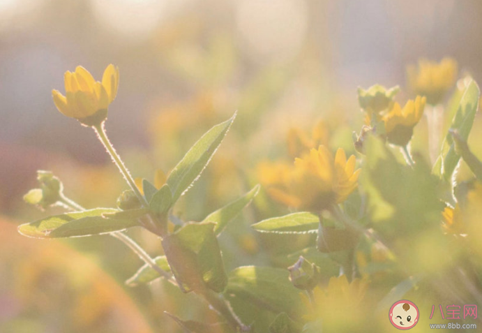 冬天曬太陽心情說說句子 冬天曬太陽朋友圈短句