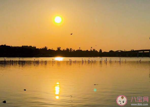 冬天曬太陽心情說說句子 冬天曬太陽朋友圈短句