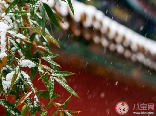 2019小雪朋友圈心情說說 小雪節氣圖片說說大全