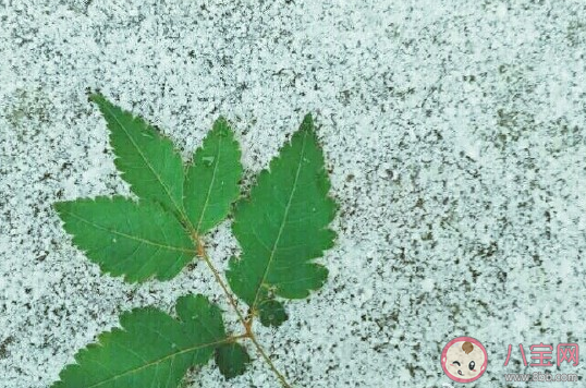 2019小雪朋友圈心情說說 小雪節氣圖片說說大全