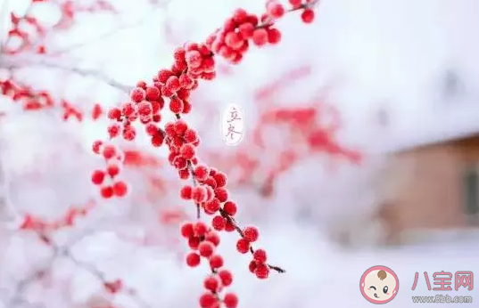 冬至為什么要吃餃子 為啥北方一過節就吃餃子