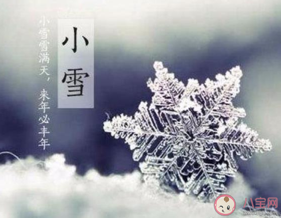 今日是小雪文案說說怎么發 今日小雪唯美溫暖句子大全 今日是小雪文案說說怎么發 今日小雪唯美溫暖句子大全