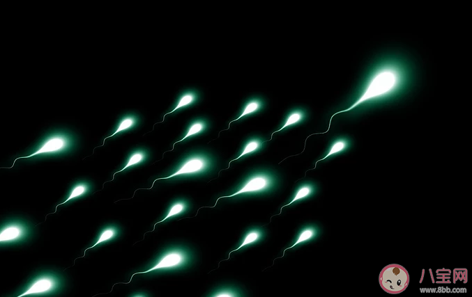 男性一次射出精液是越多越好嗎 男性一次射精量多少才是正常