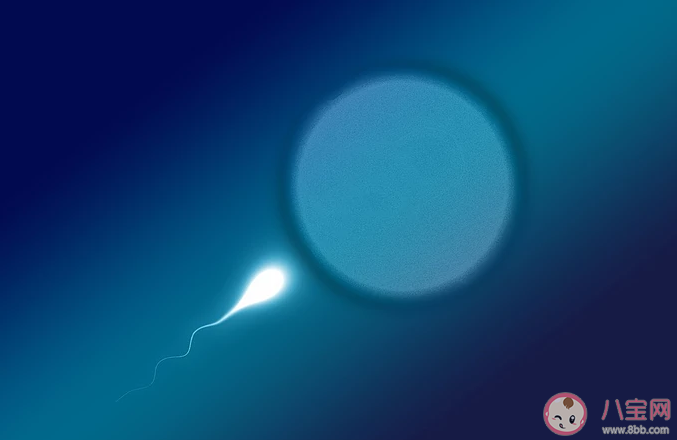 男性一次射出精液是越多越好嗎 男性一次射精量多少才是正常