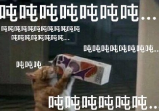 關于奶茶的搞笑段子 可愛的朋友圈喝奶茶文案