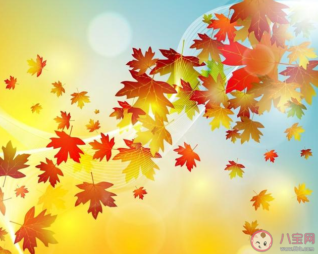 形容外面風(fēng)好大的句子 關(guān)于風(fēng)好大的朋友圈說(shuō)說(shuō)