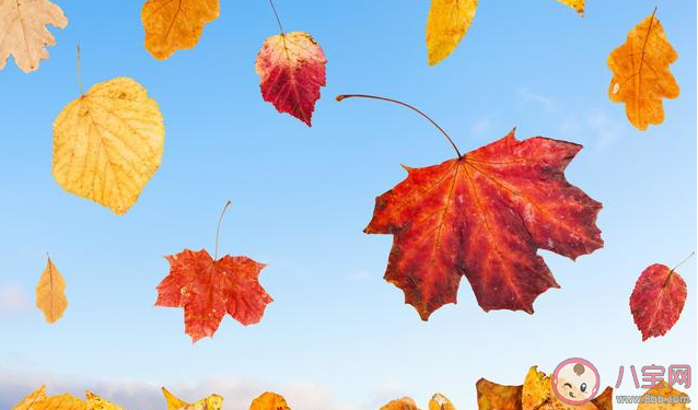 形容外面風(fēng)好大的句子 關(guān)于風(fēng)好大的朋友圈說(shuō)說(shuō)