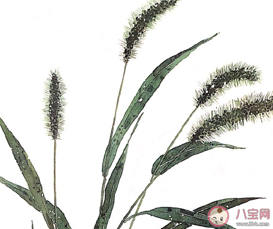 2019迎接十二月的勵(lì)志句子 迎接十二月的朋友圈說說 2019迎接十二月的勵(lì)志句子 迎接十二月的朋友圈說說