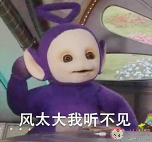 風太大了幽默搞笑說說 表達風太大了幽默句子