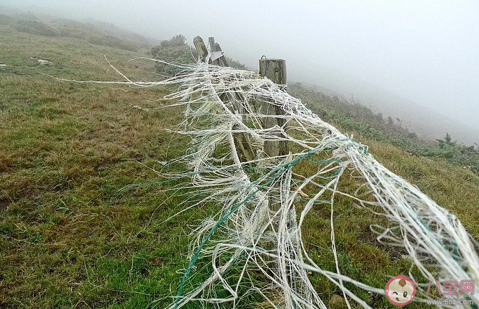 形容風太大了朋友圈句子 風太大了朋友圈說說 形容風太大了朋友圈句子 風太大了朋友圈說說