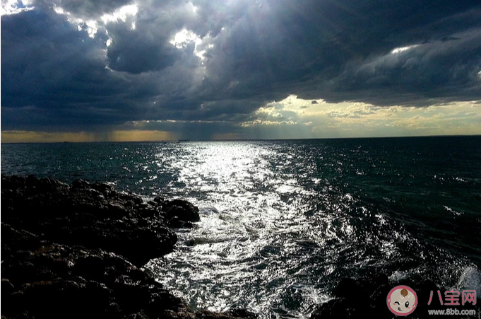 形容風太大了朋友圈句子 風太大了朋友圈說說 形容風太大了朋友圈句子 風太大了朋友圈說說