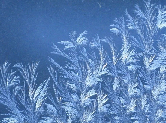 2019十一月再見十二月你好說說朋友圈 十一月再見十二月你好配圖文字說說 2019十一月再見十二月你好說說朋友圈 十一月再見十二月你好配圖文字說說