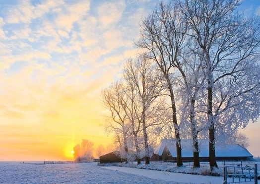 2019十一月再見十二月你好說說朋友圈 十一月再見十二月你好配圖文字說說 2019十一月再見十二月你好說說朋友圈 十一月再見十二月你好配圖文字說說