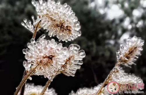 一秒入冬的朋友圈說(shuō)說(shuō) 一秒入冬的唯美句子 一秒入冬的朋友圈說(shuō)說(shuō) 一秒入冬的唯美句子