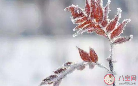 一秒入冬的詩句有哪些 一夜入冬的古詩詞大全