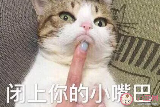 面對(duì)杠精怎么應(yīng)對(duì) 如何優(yōu)雅的回懟杠精