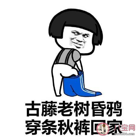 一夜之間變冷想穿秋褲了的微信文案句子 一夜之間想穿秋褲的心情說說 一夜之間變冷想穿秋褲了的微信文案句子 一夜之間想穿秋褲的心情說說