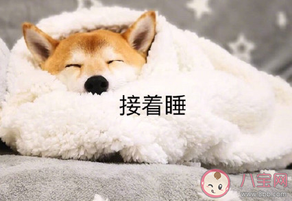 冬天起床困難的朋友圈說說2019 冬天起不來的心情句子