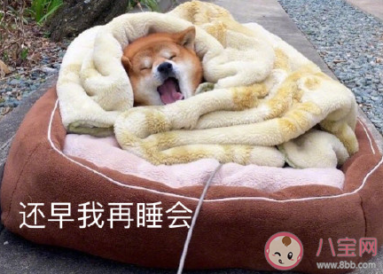 冬天起床困難的朋友圈說說2019 冬天起不來的心情句子