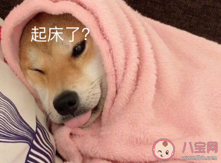 冬天不想起床說說帶圖片 冬天不想起床的心情句子 冬天不想起床說說帶圖片 冬天不想起床的心情句子