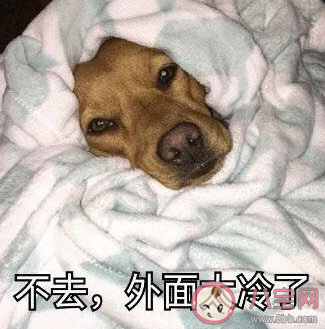 冬天不想起床說說帶圖片 冬天不想起床的心情句子 冬天不想起床說說帶圖片 冬天不想起床的心情句子