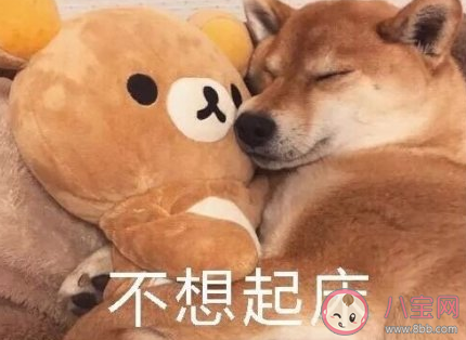 冬天不想起床的搞笑說說 起不來床的幽默句子 冬天不想起床的搞笑說說 起不來床的幽默句子