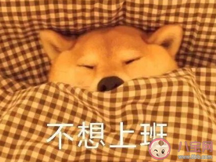 冬天不想起床的搞笑說說 起不來床的幽默句子 冬天不想起床的搞笑說說 起不來床的幽默句子