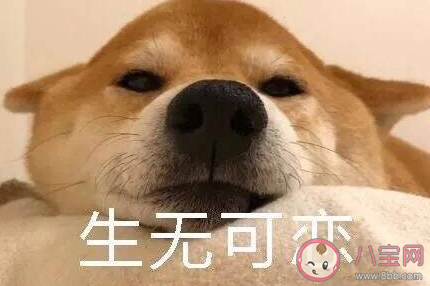 冬天不想起床的搞笑說說 起不來床的幽默句子 冬天不想起床的搞笑說說 起不來床的幽默句子