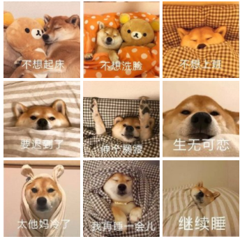 起床困難戶的心情說說 起床困難戶的可愛圖片 起床困難戶的心情說說 起床困難戶的可愛圖片