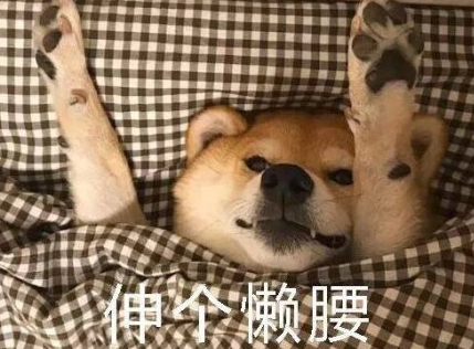 起床困難戶的心情說說 起床困難戶的可愛圖片 起床困難戶的心情說說 起床困難戶的可愛圖片