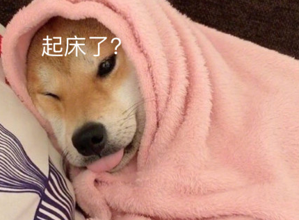 2019起床困難戶幽默說說 起床困難戶搞笑句子 2019起床困難戶幽默說說 起床困難戶搞笑句子