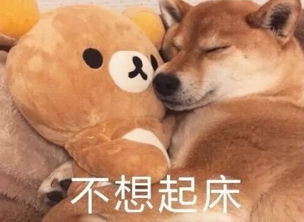 2019起床困難戶幽默說說 起床困難戶搞笑句子 2019起床困難戶幽默說說 起床困難戶搞笑句子