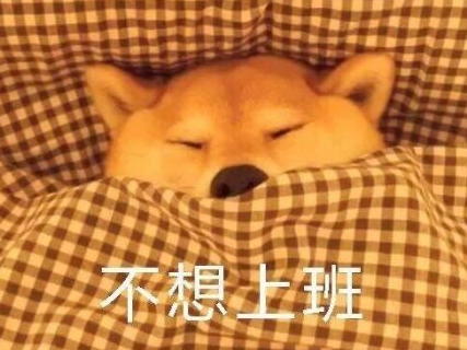 2019起床困難戶幽默說說 起床困難戶搞笑句子 2019起床困難戶幽默說說 起床困難戶搞笑句子