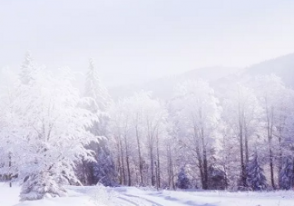 小雪到了發什么朋友圈好 今日小雪心情感言2019