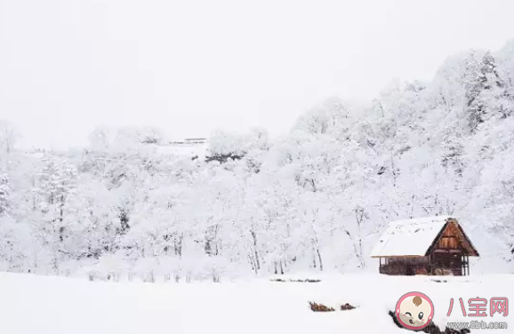 小雪手抄報內容大全 小雪手抄報內容古詩