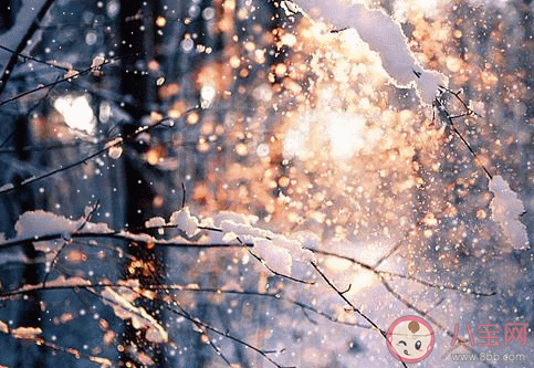 小雪手抄報內容大全 小雪手抄報內容古詩