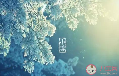 關于小雪節氣的古詩有哪些 小雪節氣古詩大全