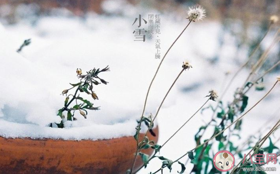 小雪節(jié)氣早安心語創(chuàng)意文案句子 小雪節(jié)氣到了的朋友圈早安說說