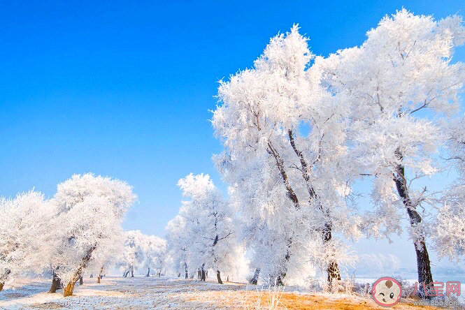 冬天看霧凇朋友圈怎么發(fā) 看霧凇景觀的朋友圈說說