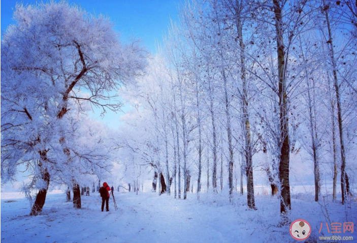 冬天看霧凇朋友圈怎么發(fā) 看霧凇景觀的朋友圈說說