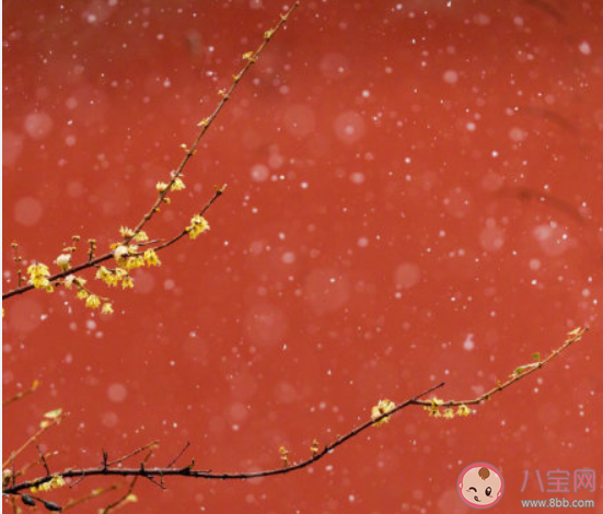 北京故宮雪景心情文案句子 關(guān)于北京雪景的朋友圈圖片說說