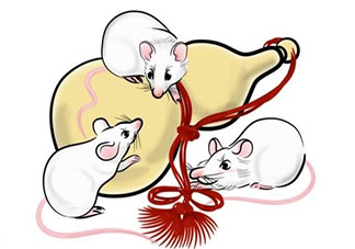 2020鼠年出生的男寶寶如何起名 2020鼠年男寶寶好聽大氣的名字大全