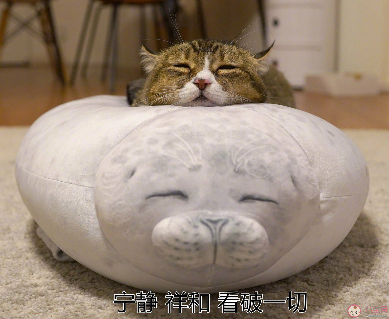 我太喜歡待在家里了是什么感受 喜歡宅在家里的原因是什么